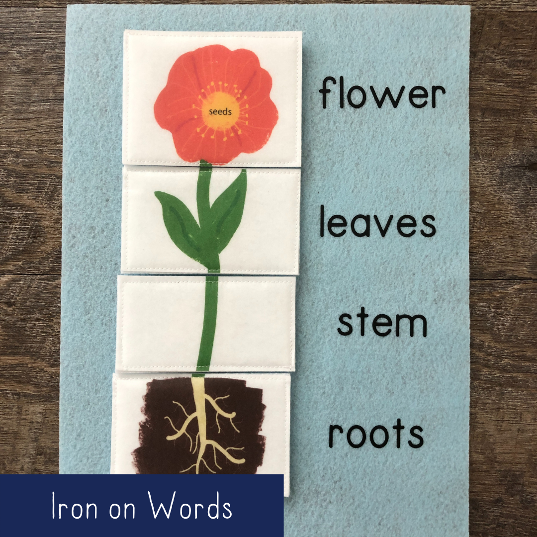Parts of a Plant - Iron On Words