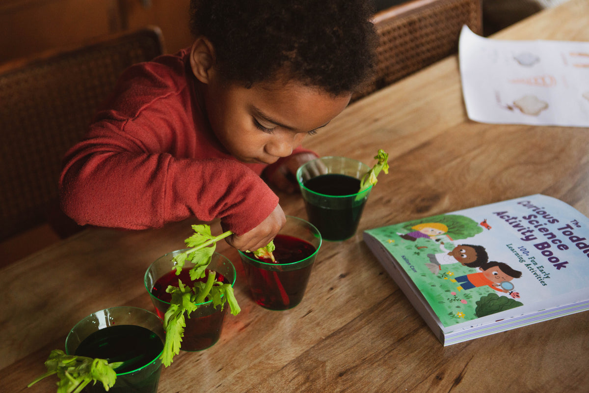 The Toddler Science Activity Book