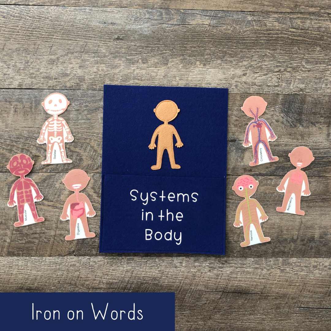 Systems of the Body - Iron On Words